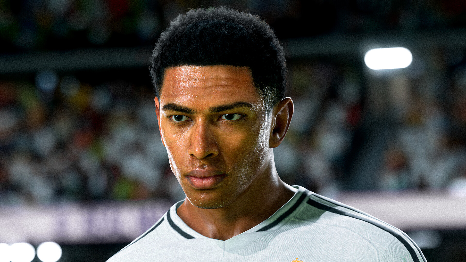 Odoo CMS - Gallery sample