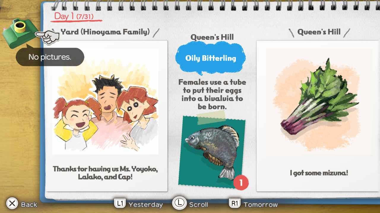 Odoo CMS - Gallery sample