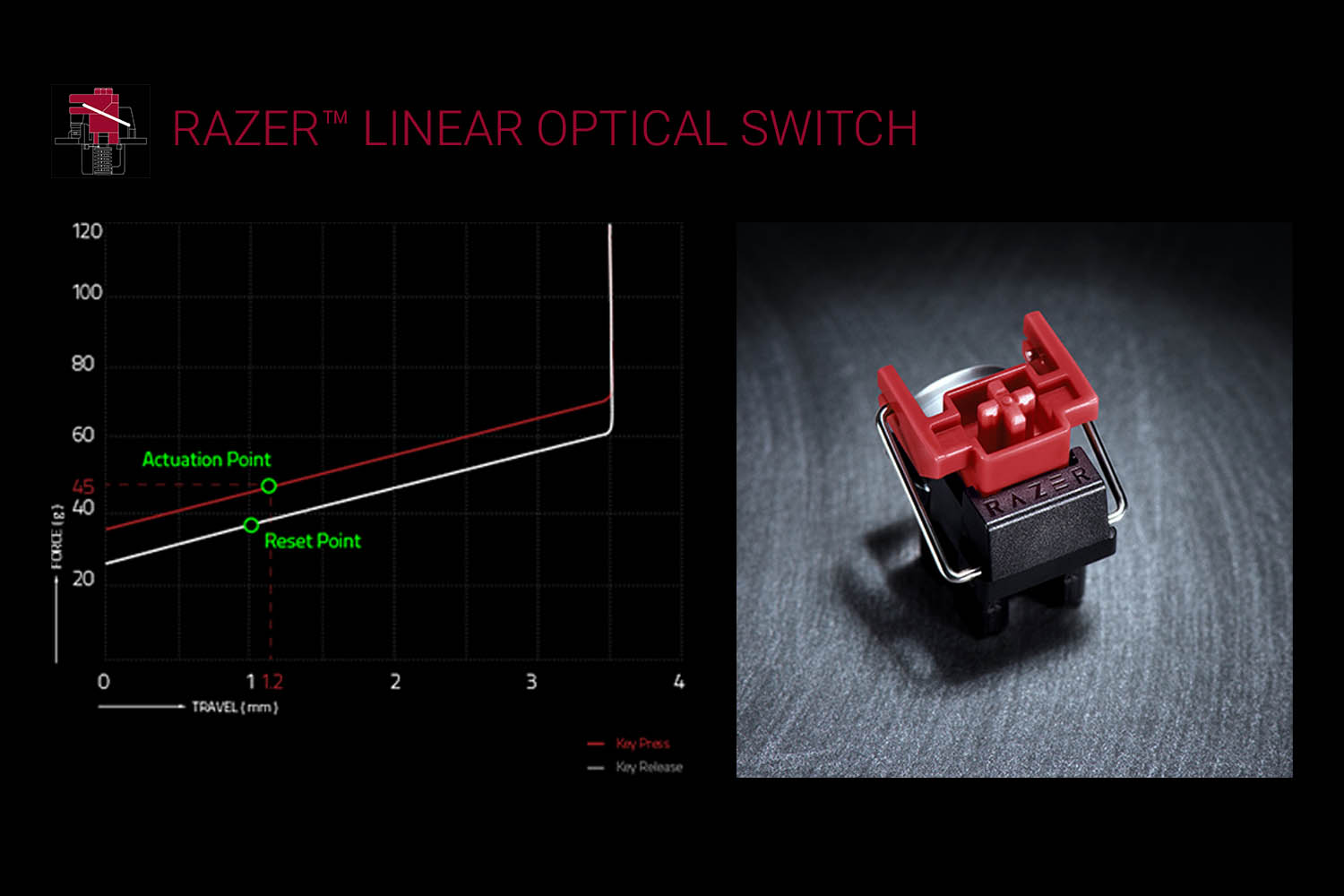Odoo CMS - Gallery sample